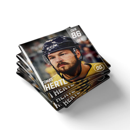 NHL 25 - Tomas Hertl