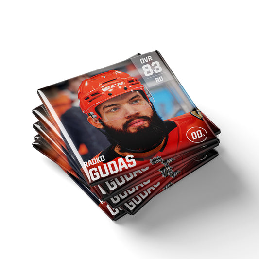 NHL 25 - Radko Gudas